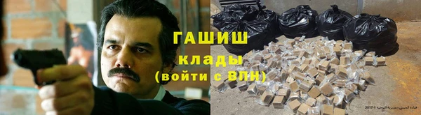 СК Елизово