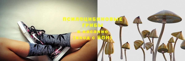 винт Елабуга