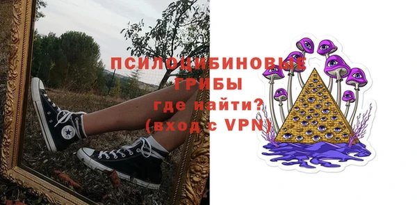 винт Елабуга