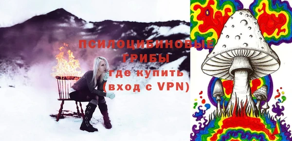 винт Елабуга