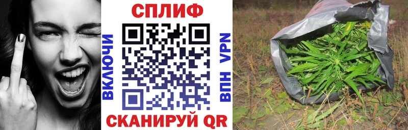 Бошки Шишки VHQ Питкяранта